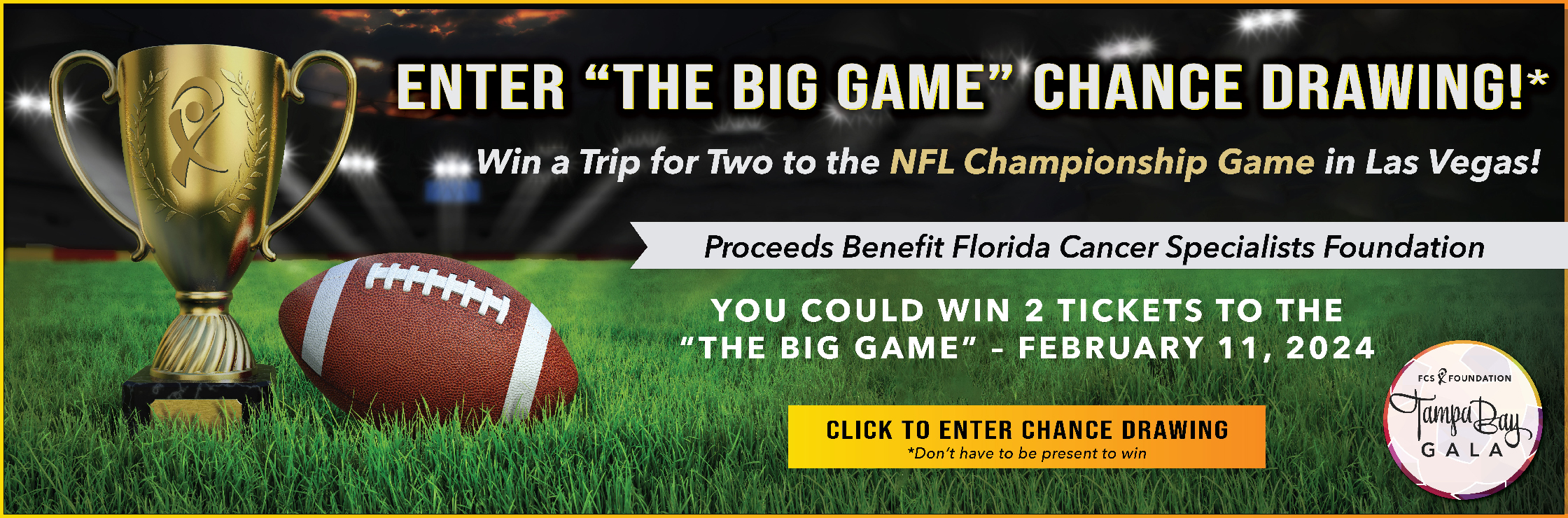 Big Game Big Give' Super Bowl Fundraiser Has a History of Problems –